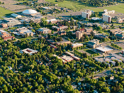 Campus from the air in summer.
